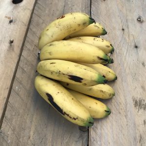 banano-bocadillo