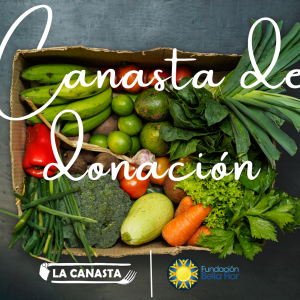 canasta_donacion